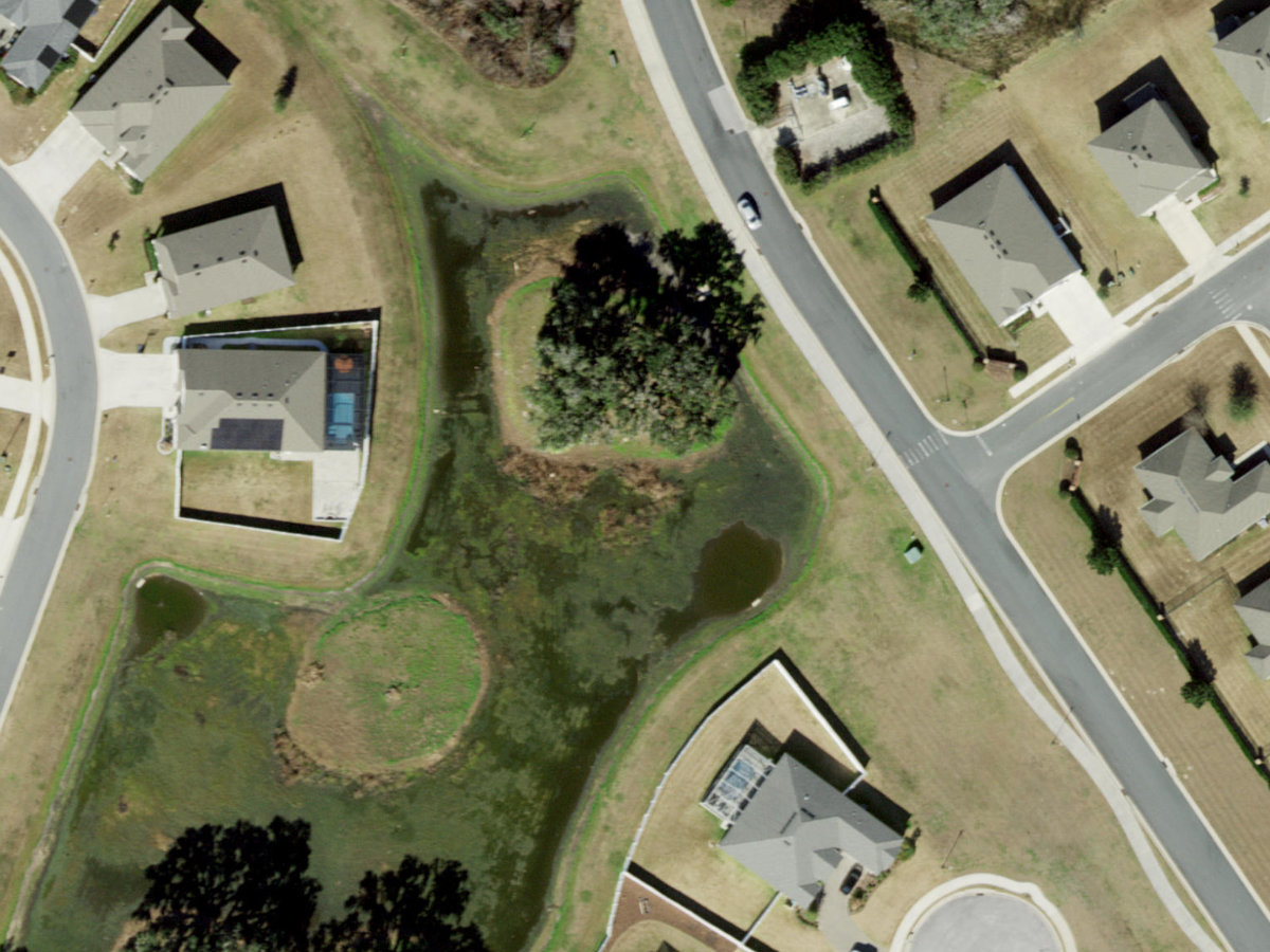 Five-acre wooded parcel on SW 34th Terrace Rd, Ocala FL 34473, purchased by Lions Capital Deals